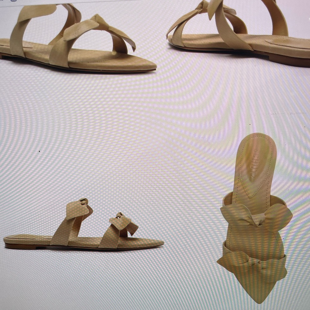 NEVER WORN* SCHUTZ - Elora Slide Sandal